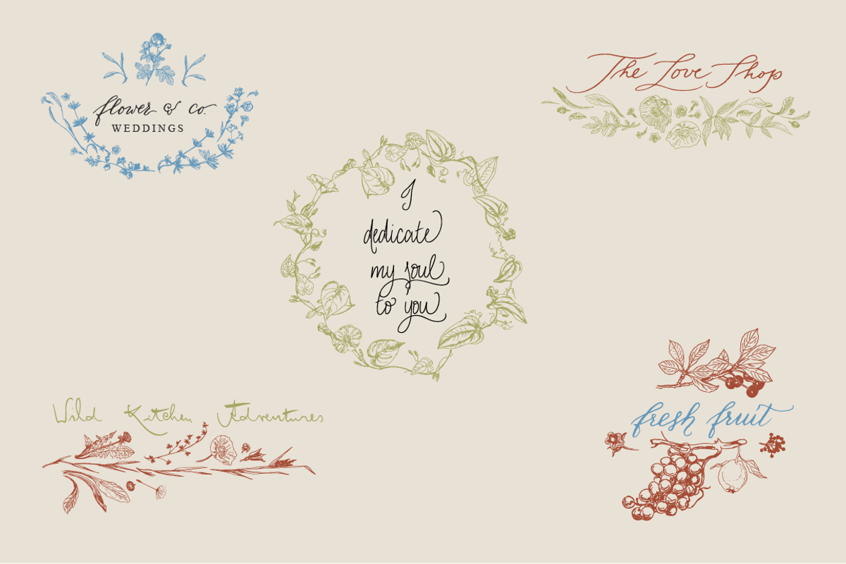 Botanical Vector Collection, an Illustration by Julia Bausenhardt (Photo 3 of 5)