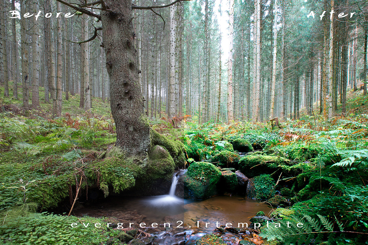 Ever Green 10 Lightroom Presets., an Action Add-On by MorningStar (Photo 8 of 11)