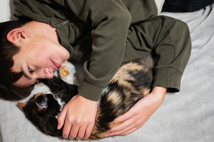 Teenager boy with kitty lying on the sofa. Children's love for p, an Animal Photo by AS photostudio