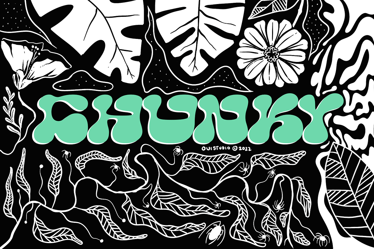 Chunky Hippie Display Font, a Font by Oui Studio (Photo 1 of 10)