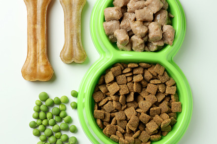 Concept of organic pet food on white background, a Food & Drink Photo by AtlasStudio PRO
