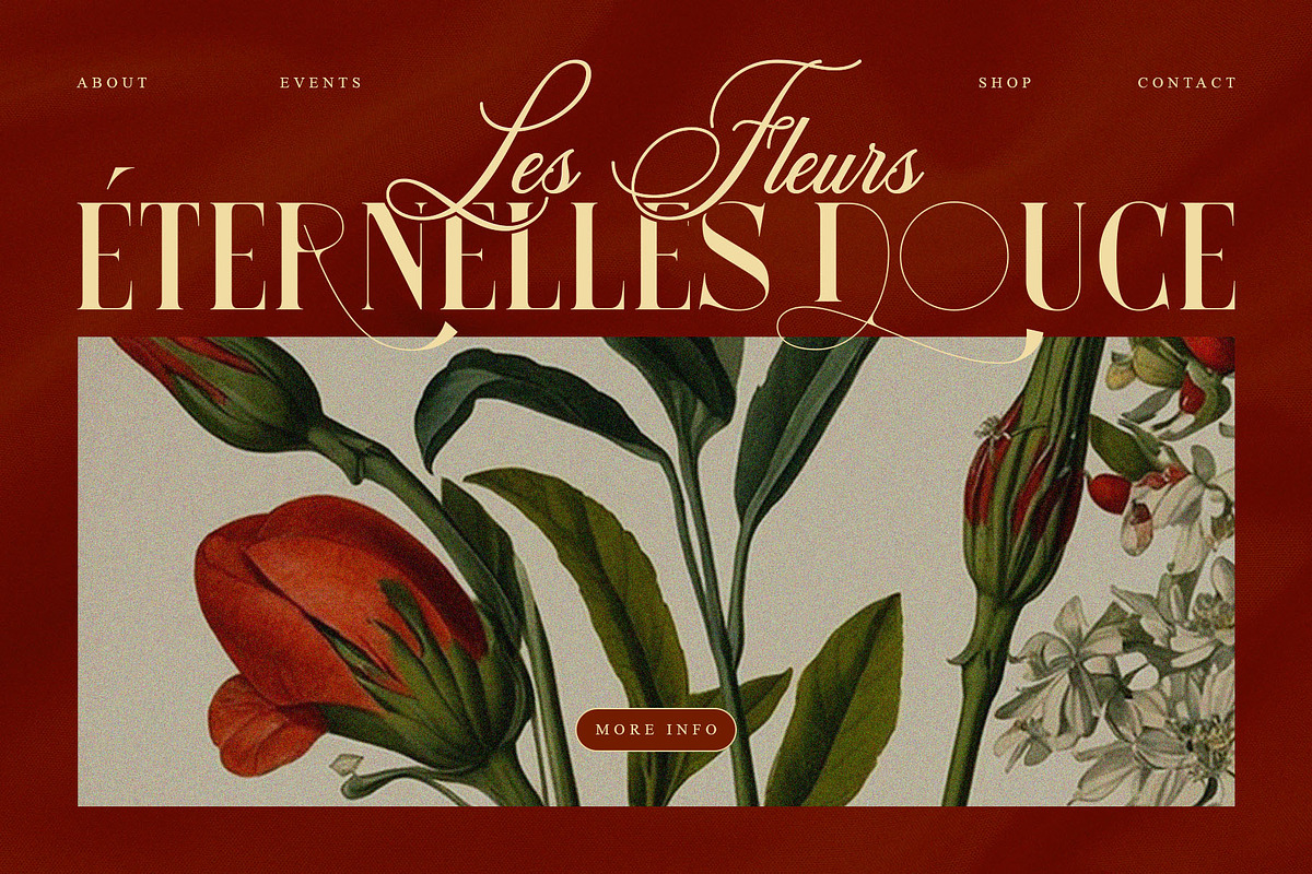 Anzelie – Elegant Stylish Serif, a Serif Font by Almeera Std (Photo 6 of 10)