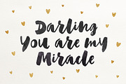 Adelina Script + Flower set Bonus, a Script Font by Andrey Sharonov (Thumbnail 2 of 5)
