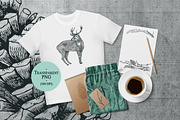 Twigs Frames, objects, patterns, an Object Graphic by Nenilkime (Thumbnail 2 of 5)