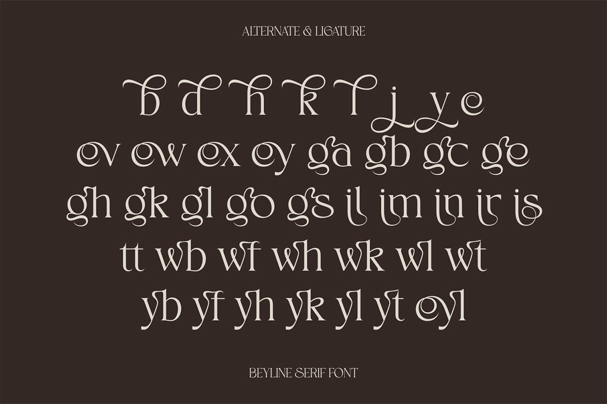 Beyline - Unique Elegance Serif Font, a Serif Font by Afkari Studio (Photo 2 of 6)