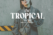 Molcer - Modern Serif Font, a Font by Say Studio (Thumbnail 8 of 13)