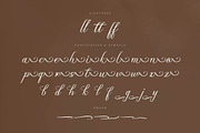 Olydemi | Beauty Script, a Script Font by Denustudios (Thumbnail 12 of 13)