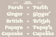 Mango California Serif Font, a Serif Font by roomspace creative lab (Thumbnail 5 of 15)