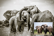 Monochromatic Lightroom Presets 1, a Preset Add-On by ShutterSweets (Thumbnail 3 of 5)