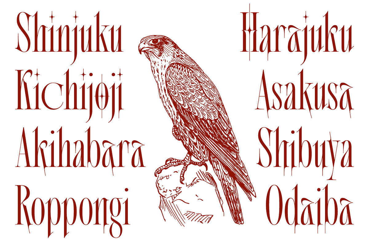 SS Archoblast - Fancy Display Serif, a Serif Font by Typocracy Studio (Photo 9 of 14)