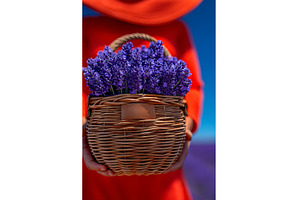 A young woman gathers lavender with, a Beauty & Fashion Photo by ZinetroN