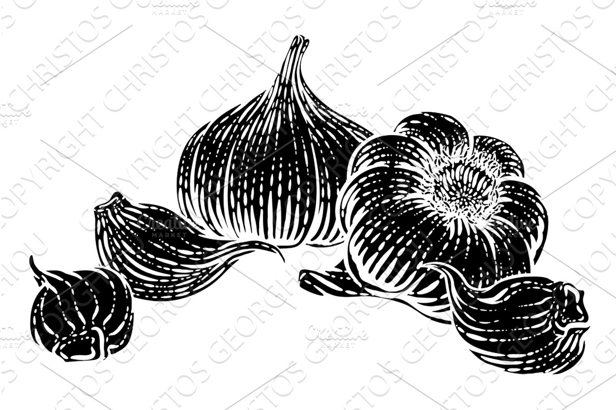Garlic Vegetable Vintage Woodcut, a Food Illustration by Christos Georghiou