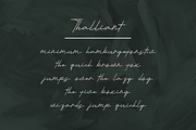 Thalliant Font, a Handwritten Font by albert_kalingga (Thumbnail 3 of 5)