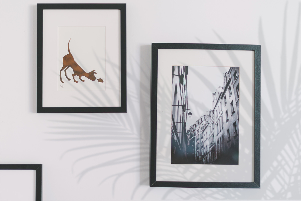 40 Plant Shadows Overlays preview 5