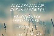 Greso Font - Handwritten Script Font, a Script Font by Creative Foundry (Thumbnail 7 of 9)