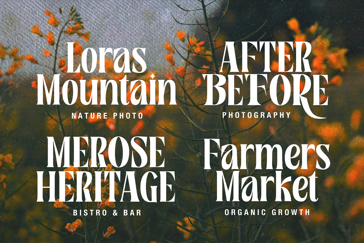 Rosamila Display, a Serif Font by Stripes Studio (Photo 2 of 11)