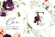 Eva | Botanical set | 200+ images, an Illustration by Karma (Thumbnail 1 of 32)