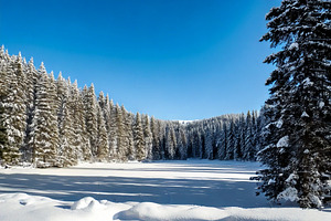 Winter Season, a Holiday Photo by Prince Cyber Graphics