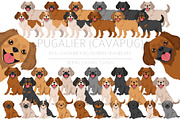 Pugalier (Cavapug) dog mix, an Animal Illustration by pet design shop (Thumbnail 1 of 6)