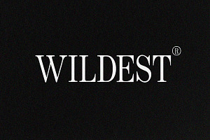 Wildest - Classical Serif
