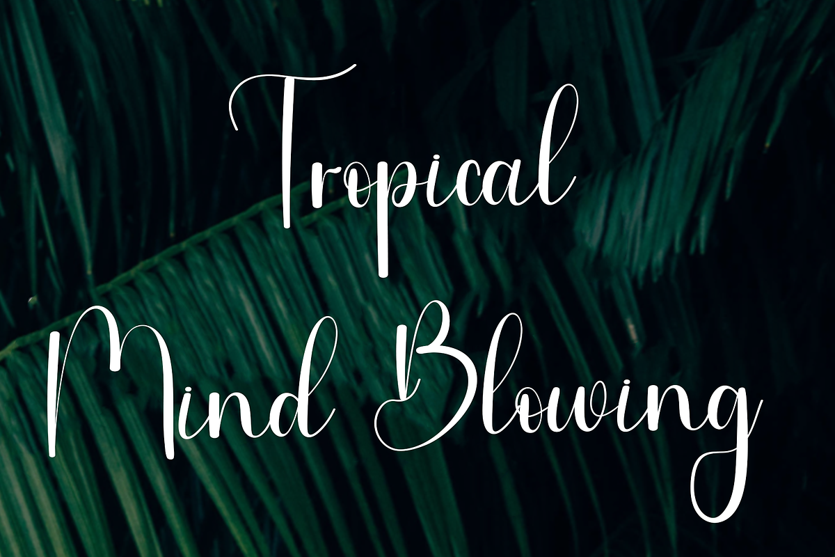 Sister Dancing, a Handwritten Font by InermediaSTUDIO (Photo 3 of 8)