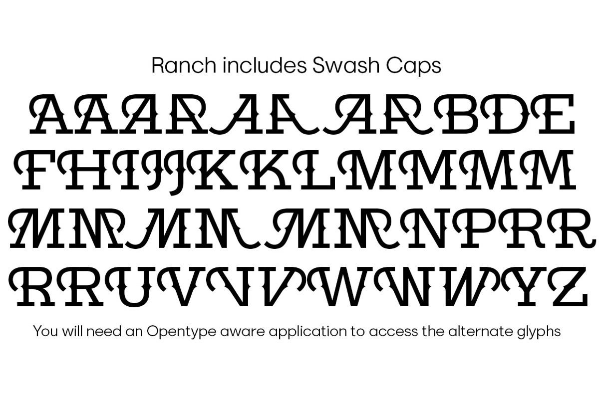 Ranch SC font family, a Slab Serif Font by FontMesa (Photo 6 of 6)