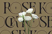 Moshra Aesthetic - Modern Logo Font, a Serif Font by Nirmana Visual (Thumbnail 4 of 10)