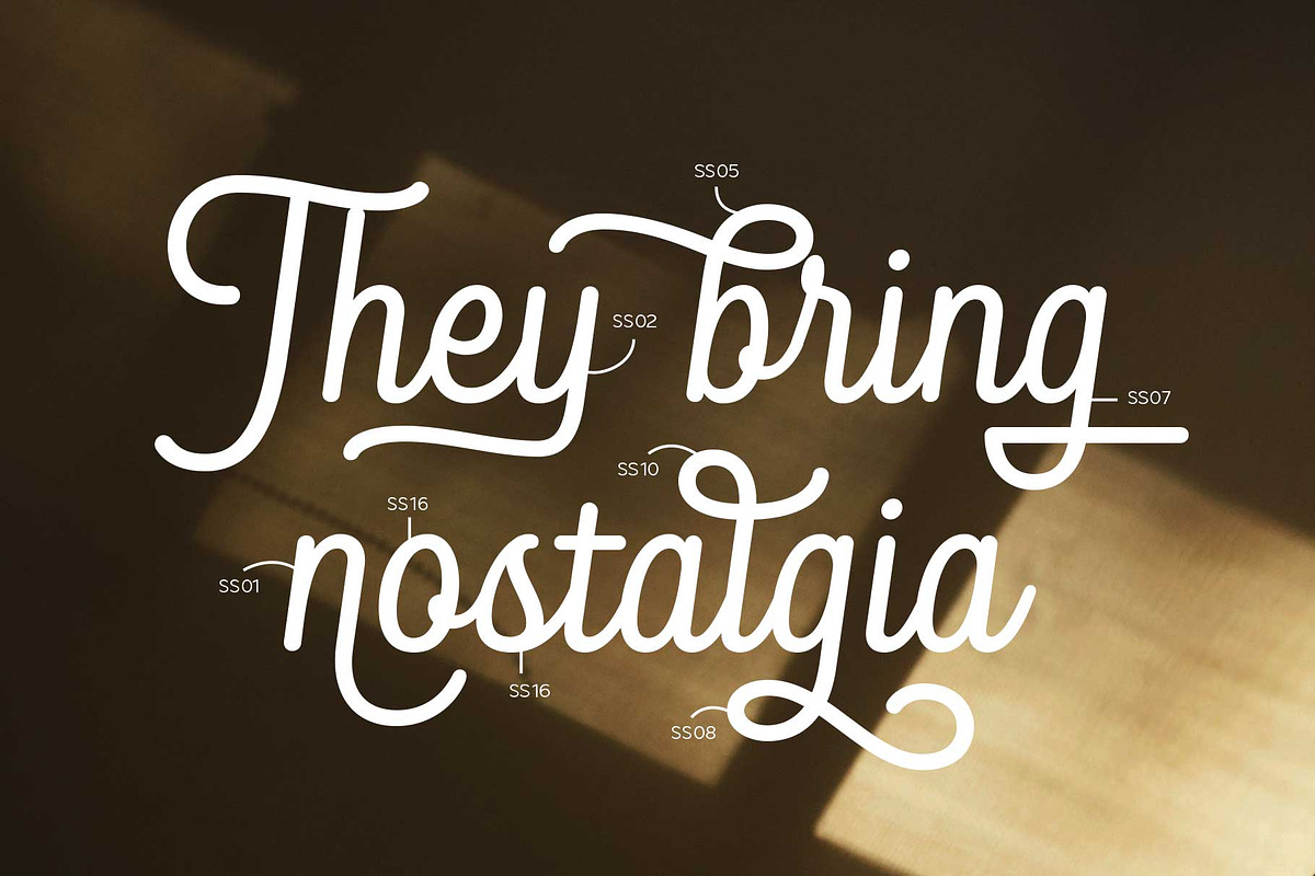 Blandony - Modern Vintage Monoline, a Script Font by Novitype (Photo 6 of 12)