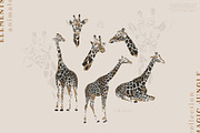 Magic Jungle Collection, an Animal Illustration by Julia Dreams (Thumbnail 9 of 11)