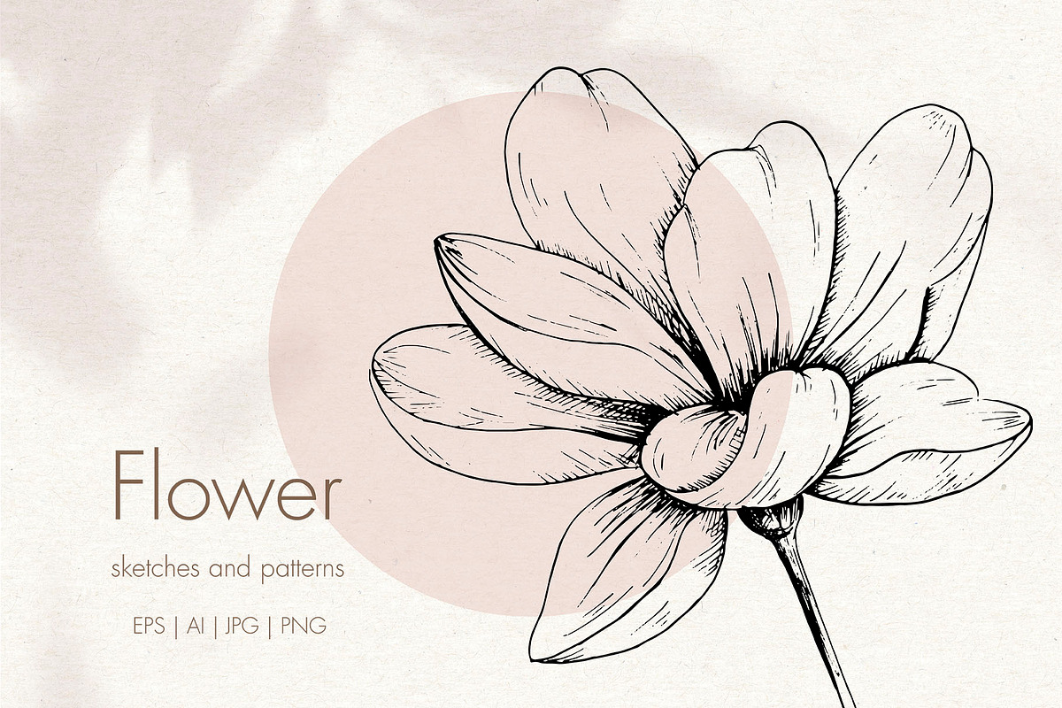 Flower. Line art sketch and patterns, a Decorative Illustration by Canatic (Photo 1 of 7)
