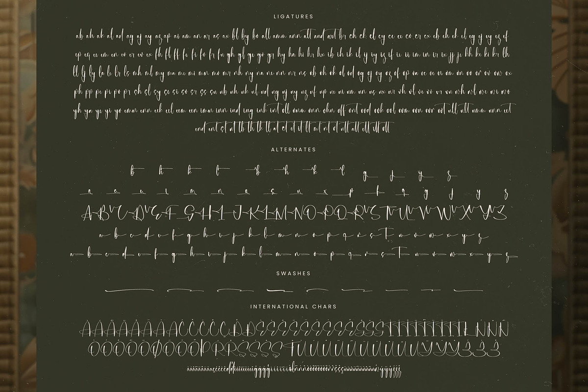 Michelyne Stylish Signature Font, a Script Font by stylishtype.co (Photo 19 of 20)