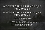Aporla - Elegant Slab Serif, a Slab Serif Font by Baleee (Thumbnail 16 of 18)