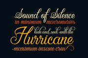 SALE! Versatile Font Bundle is Back, a Font by Zeune Type Foundry (Thumbnail 10 of 20)