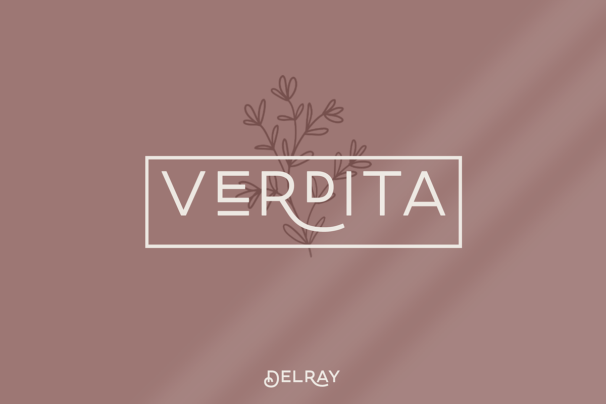 DelRay - Sans Serif Ligature Typefac, a Serif Font by Surplus Type Co (Photo 3 of 13)