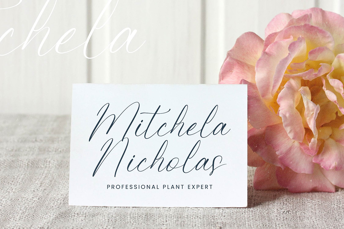 Petalip Orchid Modern Freestyle, a Script Font by Letterena Studios Script (Photo 11 of 15)