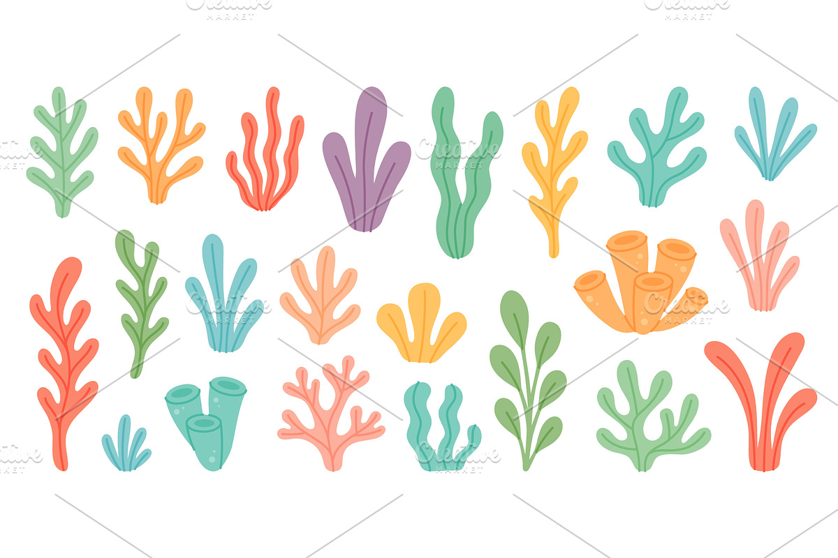 Cartoon coral and seaweed collection, an Animal Illustration by GraphiShop