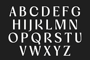 Vogera Minimal Editorial Serif, a Serif Font by Lettertype Studio (Thumbnail 8 of 15)