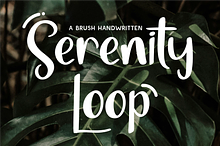 Serenity Loop - Brush Handwritten