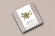 Disenativo - Sharp Display Fonts, a Sans Serif Font by Patria Ari (P4tcreativa) (Thumbnail 6 of 10)