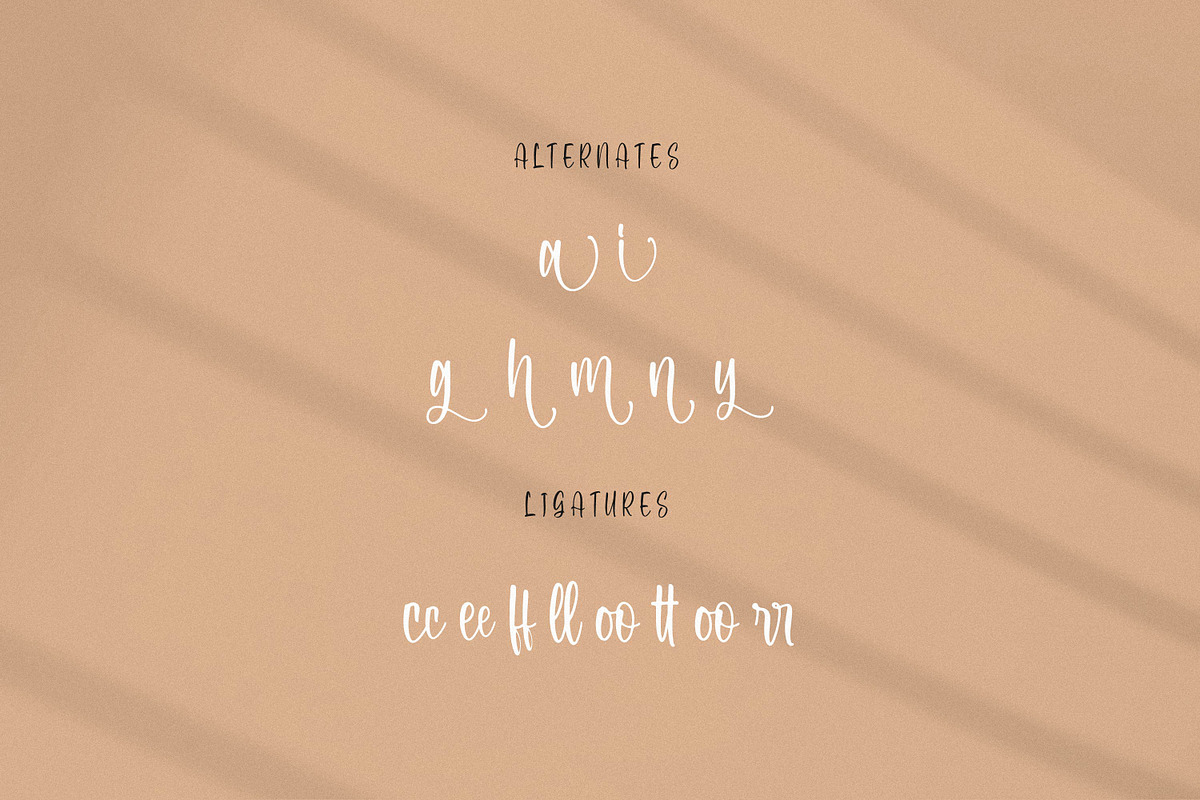 Syahara, a Script Font by Integritype Studio (Photo 11 of 15)