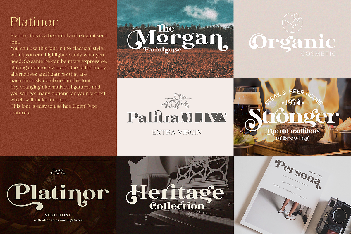 Elegant Serif Bundle, a Serif Font by Larin Type Co. (Photo 15 of 18)
