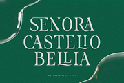 Fliren - Stylish Serif Font, a Serif Font by Sronstudio (Thumbnail 12 of 16)