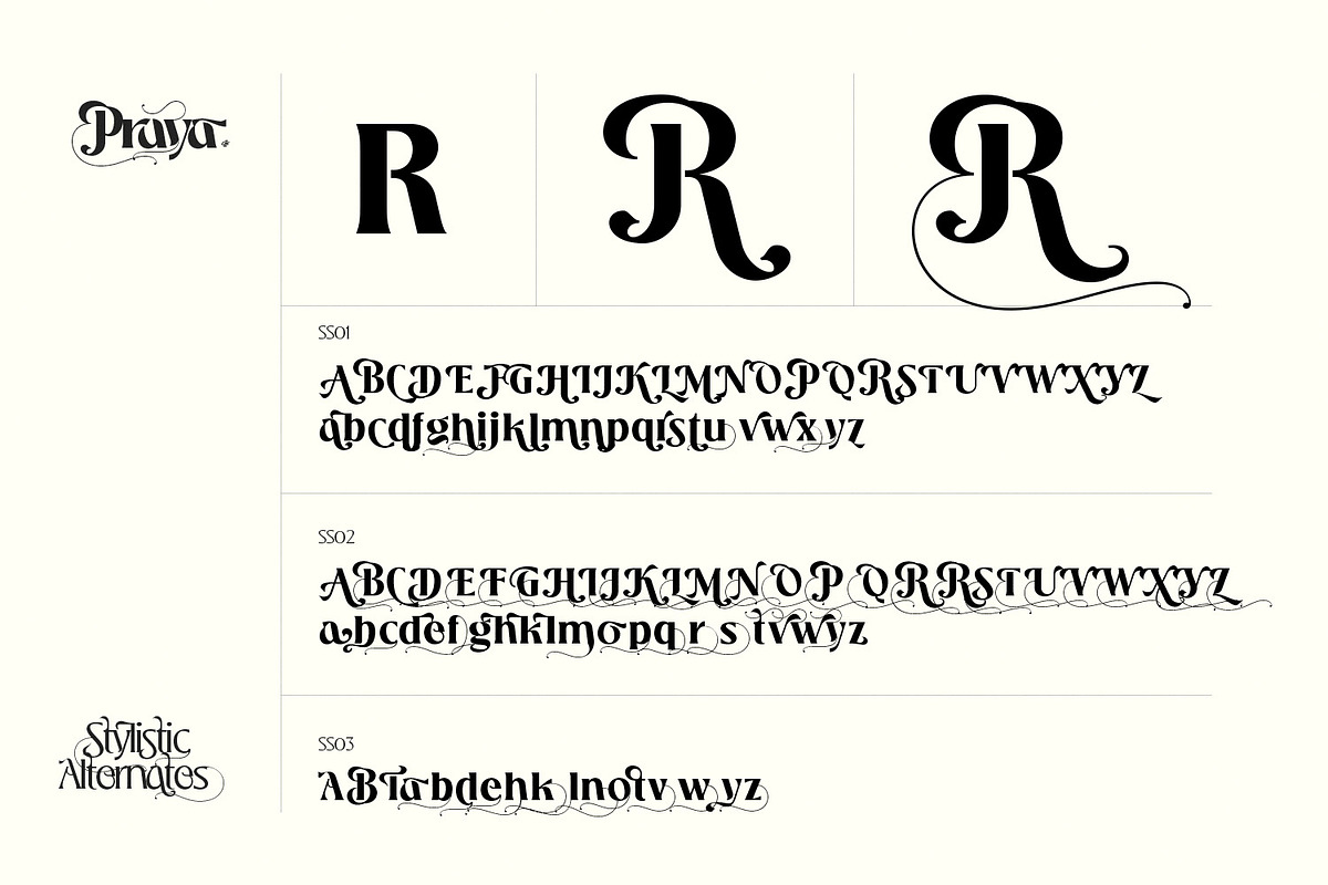 Praya - Modern Branding Font, a Serif Font by creativemedialab (Photo 14 of 17)