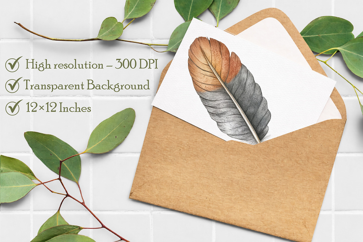 Feather Watercolor Clipart, an Illustration by Libby Wishes (Photo 7 of 7)