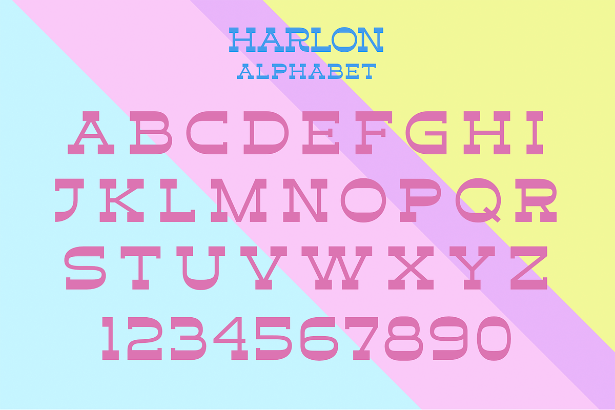 Harlon, a Slab Serif Font by Larin Type Co. (Photo 10 of 11)