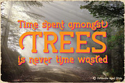 Outdoors Vintage Label Font, a Slab Serif Font by JumboDesign (Thumbnail 4 of 6)