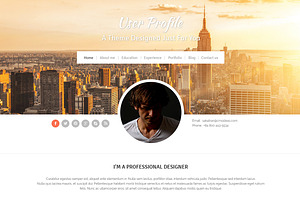 Profile WordPress Theme