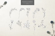 Botanical Graphic Collection, an Illustration by Twigs and Twine (Thumbnail 3 of 10)
