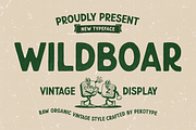 Wildboar - Vintage Display Font, a Sans Serif Font by Pekotype (Thumbnail 1 of 15)