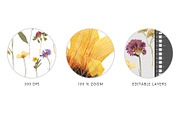 Pressed Dry Flowers & Leaves, an Object Graphic by Katya_lu (Thumbnail 7 of 8)